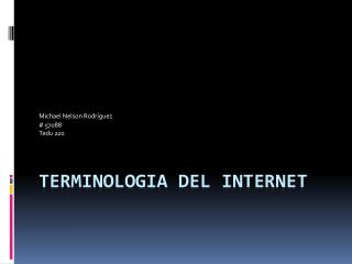 Terminologia del Internet