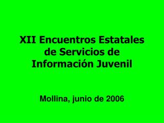 XII Encuentros Estatales de Servicios de Información Juvenil Mollina, junio de 2006