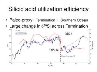 Silicic acid utilization efficiency