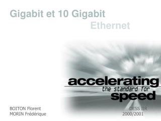 BOITON Florent						 DESS IIR MORIN Frédérique					2000/2001