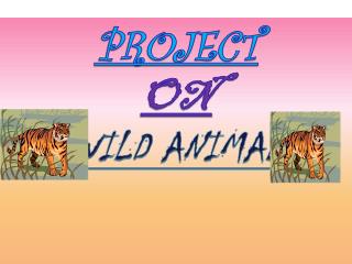 PROJECT ON WILD ANIMAL