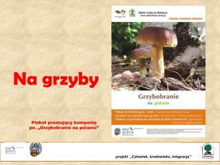 Na grzyby