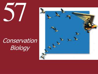 Conservation Biology