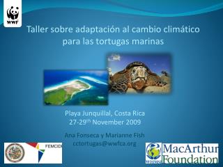 Taller sobre adaptación al cambio climático para las tortugas marinas