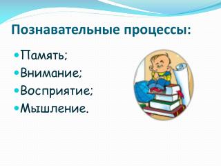 Познавательные процессы: