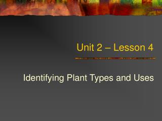 Unit 2 – Lesson 4