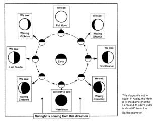 Phases of the Moon