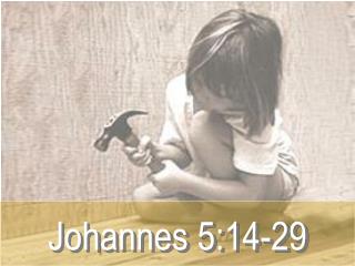 Johannes 5:14-29