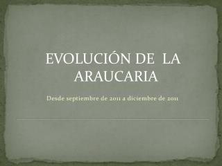 EVOLUCIÓN DE LA ARAUCARIA