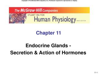 Chapter 11