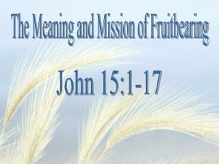The Meaning and Mission of Fruitbearing