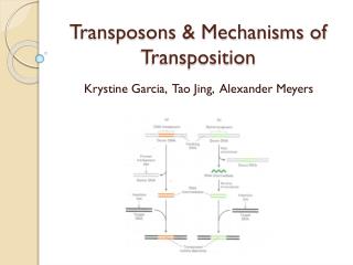 Transposons & Mechanisms of Transposition