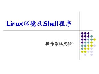 Linux 环境及 Shell 程序