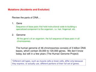 Mutations (Accidents and Evolution)