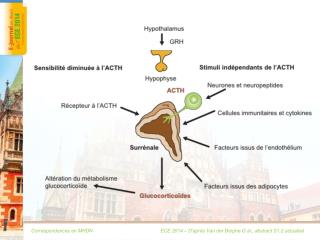 ECE 2014 – D'après Van der Berghe G al., abstract S1.2 actualisé