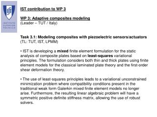 IST contribution to WP 3 WP 3: Adaptive composites modeling (Leader – TUT / Italy)