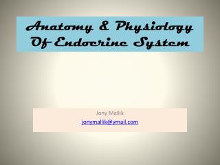 Anatomy &amp; Physiology Of Endocrine System