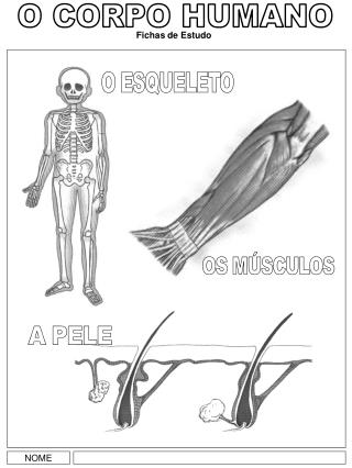 NOME