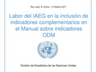 Labor del IAEG en la inclusión de indicadores complementarios en el Manual sobre indicadores ODM