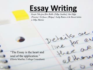 Essay Writing