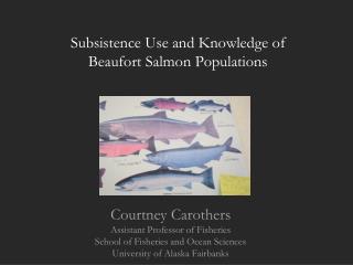 Subsistence Use and Knowledge of Beaufort Salmon Populations