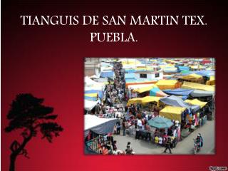 TIANGUIS DE SAN MARTIN TEX. PUEBLA.