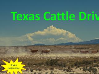 Texas Cattle Drive
