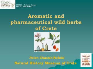 Aromatic and pharmaceutical wild herbs of Crete