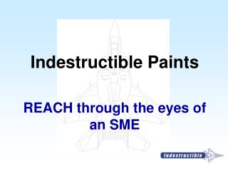 REACH through the eyes of an SME