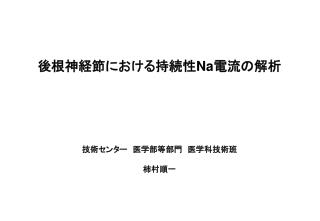 後根神経節における持続性 Na 電流の解析