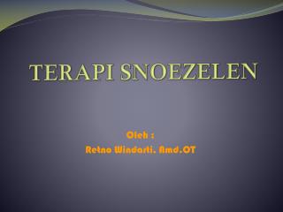 TERAPI SNOEZELEN