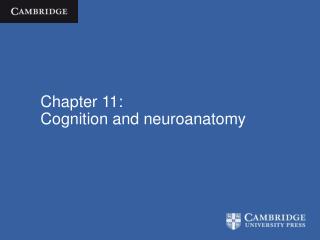 Chapter 11: Cognition and neuroanatomy