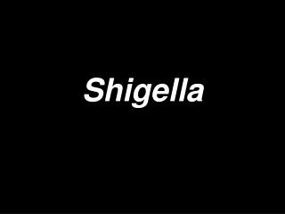 Shigella