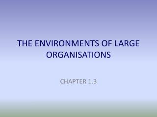 THE ENVIRONMENTS OF LARGE ORGANISATIONS