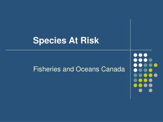 Species At Risk