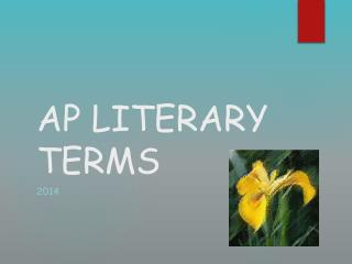AP LITERARY TERMS