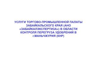Инспекция на станции перегруза (г. Манчжурия)