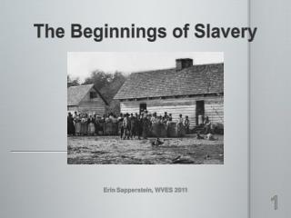 The Beginnings of Slavery