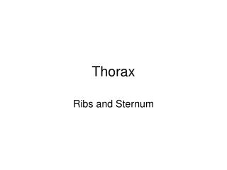 Thorax