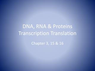 DNA, RNA &amp; Proteins Transcription Translation