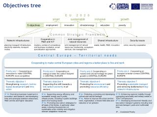 3. Programme strategy