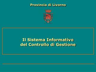 Il Sistema Informativo del Controllo di Gestione