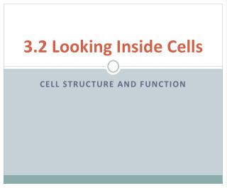 3.2 Looking Inside Cells