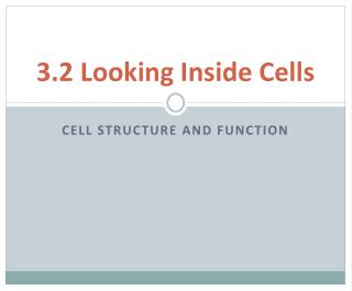3.2 Looking Inside Cells
