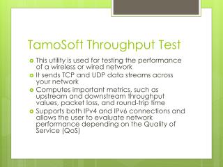 TamoSoft Throughput Test