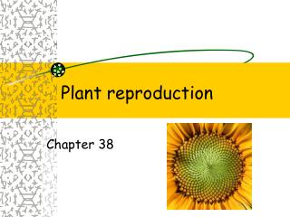 Plant reproduction