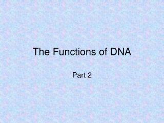 The Functions of DNA