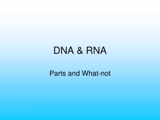 DNA &amp; RNA