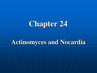 Actinomyces and Nocardia