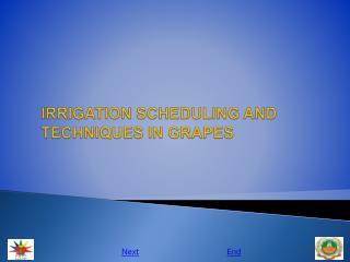 IRRIGATION SCHEDULING AND TECHNIQUES IN GRAPES